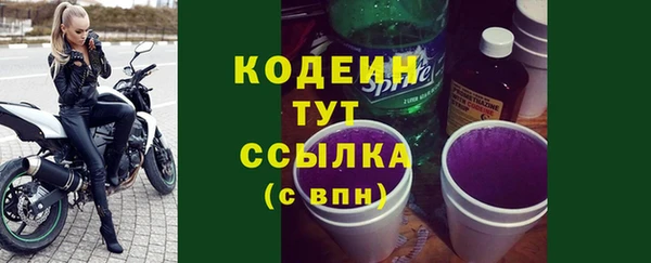 молекула духа Бородино