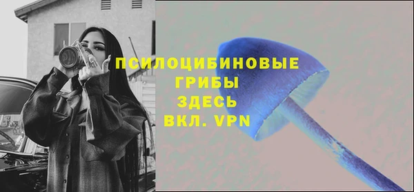 молекула духа Бородино