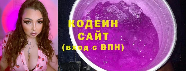 молекула духа Бородино
