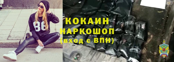 молекула духа Бородино