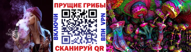 Галлюциногенные грибы MAGIC MUSHROOMS  купить   Балтийск 