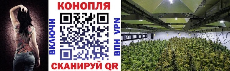 Шишки марихуана индика  Балтийск 